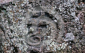 Ancient petroglyphs carved by the Carib tribes D photo